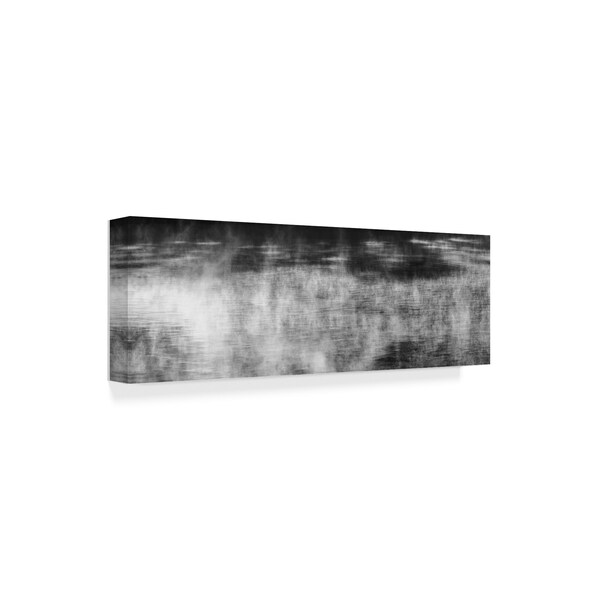 Brenda Petrella Photography Llc 'Moving Mist' Canvas Art,8x24
